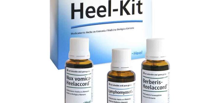 Limpia tu organismo con la Terapia de Detoxificación de Heel